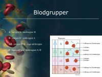 /album/blodgrupper/a6-blodet-014-jpeg1/